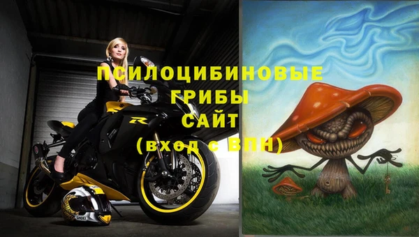 Альфа ПВП Алексин