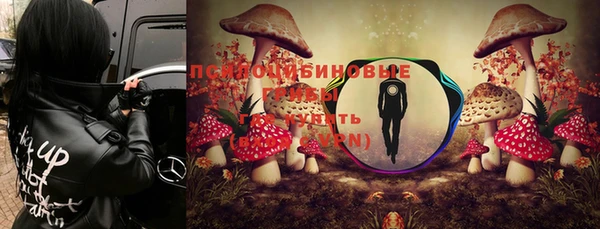 амф Киренск
