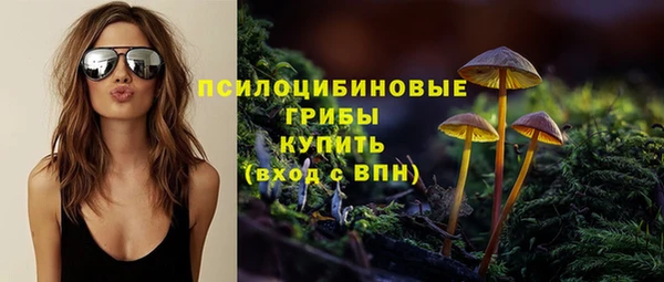 ALPHA PVP Киреевск